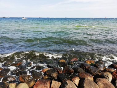 Baltık Denizi kıyısı. Gdynia. Güzel deniz manzarası. Yaz tatili.