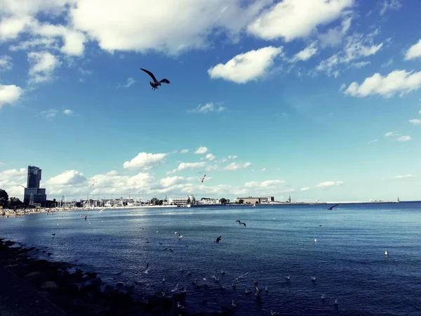 Baltık Denizi kıyısı. Gdynia. Güzel deniz manzarası. Yaz tatili.