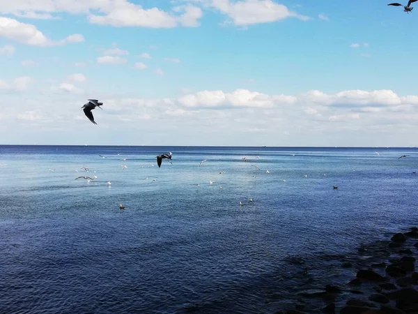 波罗的海沿岸 Gdynia 美丽的海滨风景 — 图库照片