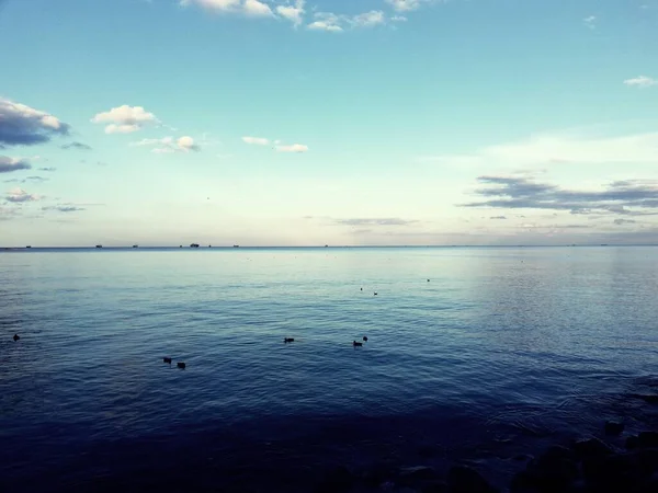 Baltık Denizi kıyısı. Gdynia. Güzel deniz manzarası. Yaz tatili.