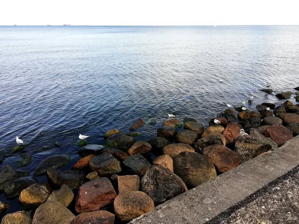 波罗的海沿岸 Gdynia 美丽的海滨风景 — 图库照片
