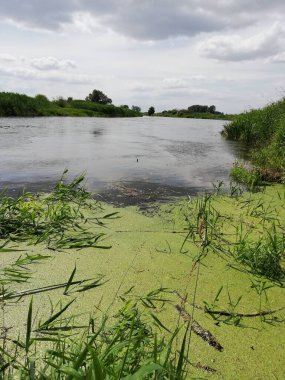 Parktaki nehir kıyısında. Güzel bir manzara. Tatillerde nehre bir gezi.. 