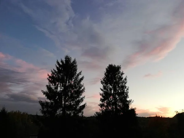 Bomen Tegen Blauwe Lucht Prachtig Weer Zonsondergang — Stockfoto