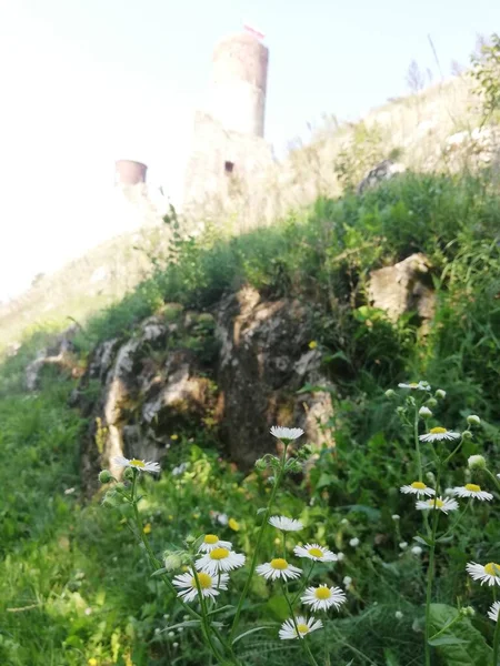 Mittelalterliche Kaste Polen Tschetschenien Spektakuläre Ruinen Perfekt Für Tapeten — Stockfoto