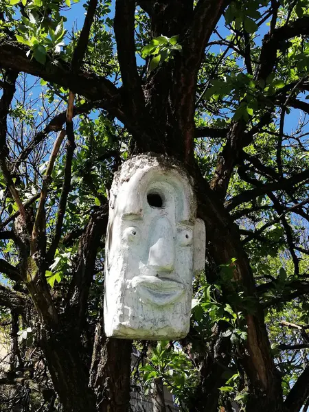 Parktaki ağaçlar. Güzel yaz / sonbahar atmosferi. Temiz hava..