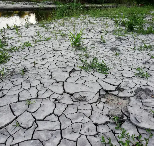 Çölde çatlamış toprak. Uzun süreli kuraklık, susuzluk. İlginç desen. 