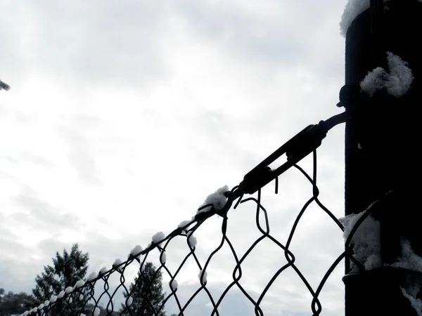 Çitin bir parçası. Tel örgüler. Kış mevsimi. Çok fazla kar var..