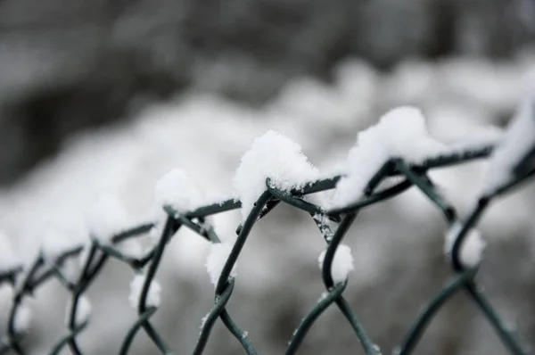 Fragment Staketet Trådnät Stängsel Vintersäsong Mycket Snö — Stockfoto