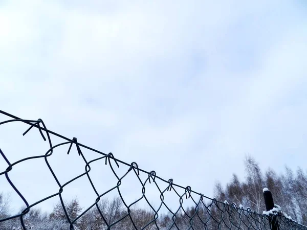 Çitin bir parçası. Tel örgüler. Kış mevsimi. Çok fazla kar var..