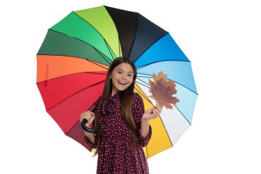 Şemsiye altında mutlu genç kız sonbahar mevsiminde beyaz akçaağaç yaprağı ile yalıtılmış, Eylül.