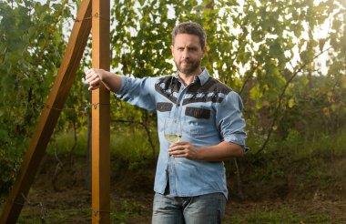 Şerefe! Vinedresser içiyor. Erkek üzüm bağı sahibi. Üzüm çiftliğinde profesyonel şarap üreticisi