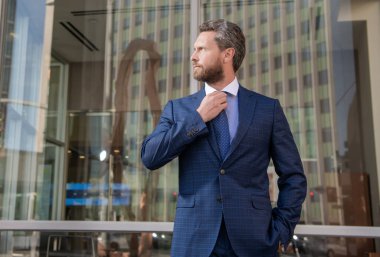 Resmi takım elbiseli başarılı sakallı iş adamı, çalışan.