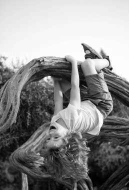 Eğlenceli bir çocukluk. Erkek çocuk ağaç dalında asılı duruyor. Çocuk baş aşağı sallanırken eğleniyor.