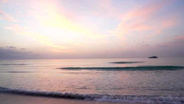 Lever du soleil tôt le matin sur la mer avec des oiseaux volant dans le ciel avec navire, paysage marin — Video