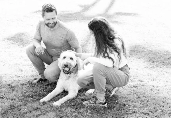 Jovem família de homem e mulher brincar com cão animal de estimação no parque na grama verde, amante do animal de estimação — Fotografia de Stock