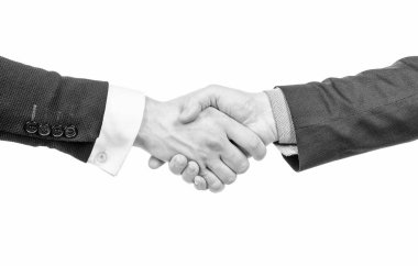 Erkekler başarılı iş anlaşması ve ortaklıktan sonra el sıkışıyor
