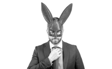 Tavşan maskeli tavşan adam. Fetişist. Seksi bdsm maskeli bir iş adamı. Playboy. BDSM oyunları