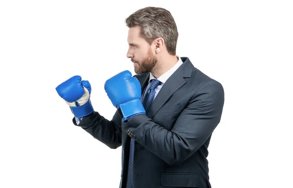 Ernstige zakenman in formele pak en bokshandschoenen in vechtpositie geïsoleerd op wit, vechten — Stockfoto