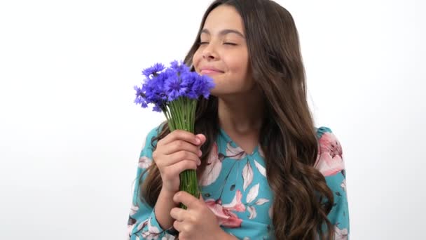 행복 한 어린이 냄새의 그림 centaurea 들꽃 부케 선택적 초점, 8 행진 — 비디오
