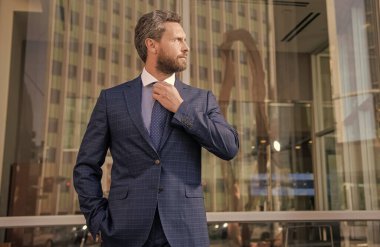 Resmi takım elbiseli başarılı sakallı iş adamı, çalışan.