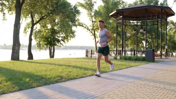 Active man running in sunny park outdoor, sport — Video