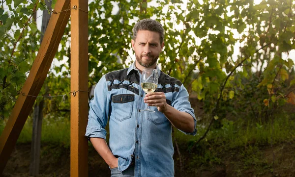farmer drink wine. cheers. vinedresser drinking. male vineyard owner.