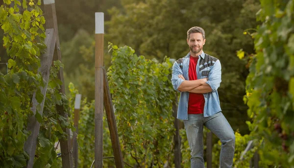 Vineyard owner standing at winery among grape farm, copy space, winemaker — 스톡 사진