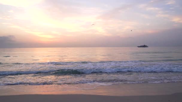 Summer seascape with birds flying in sunrise sky and ship on horizon, romantic view — Stok video