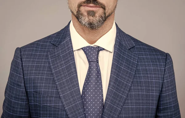 Senior advokat beskärs visa bära formell kostym med slips grå bakgrund, herrkläder — Stockfoto