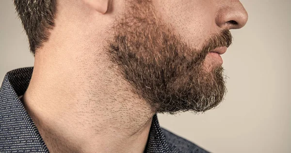 Mans vista recortada cara con la piel barbuda y el pelo facial fondo gris, cuidado de la piel — Foto de Stock