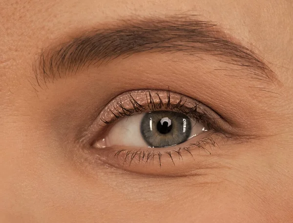 Œil féminin. Maquillage des yeux. Sourcil voûté et ombre à paupières naturelle. La vue. Extension des cils. — Photo
