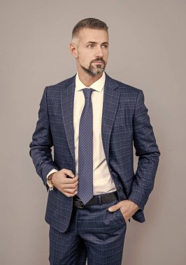 Olgun iş adamı resmi moda tarzı gri arka plan, resmi kıyafet giyer.