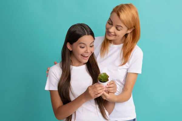 Verrast meisje kind dochter kijken naar pot plant gehouden door vrouw moeder, koesteren — Stockfoto