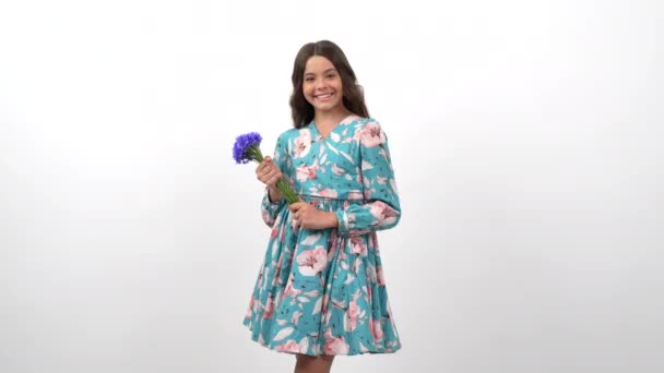Boldog tini lány virágos ruha fordult centaurea vadvirág virágcsokor, női nap — Stock videók