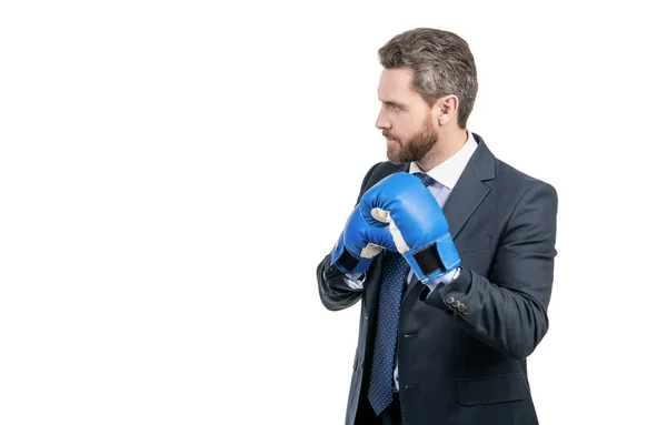 Serieuze professionele man in bokshandschoenen en pak staan in vechtpositie, vechten — Stockfoto