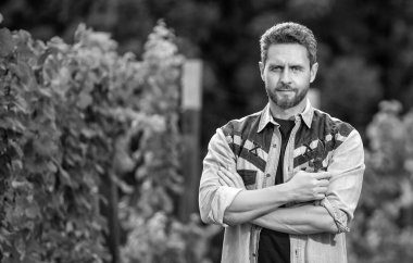 Erkek üzüm bağı sahibi bahçe aletini tutuyor. Üzüm çiftliğindeki profesyonel şarap tüccarı. İnsan hasatçısı.