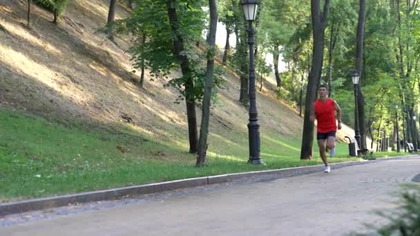 Ejercicio de la mañana del hombre atlético en ropa deportiva, entrenamiento — Vídeos de Stock