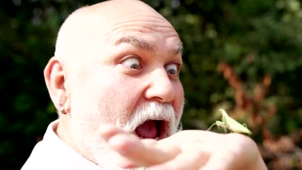 Έκπληκτος, ανοιχτομάτης γέρος, κοίτα ένα έντομο στο χέρι να βγάζει γλώσσα έξω, Μάντις. — Αρχείο Βίντεο