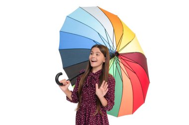 Şaşırmış çocuk, çok renkli yağmur koruması şemsiyesini beyaz arka planda izole etmiş. Merhaba, sonbahar.