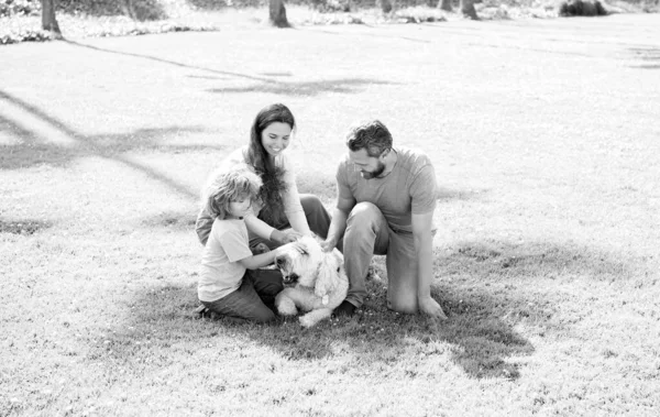 Família feliz de mãe papai e filho criança brincando com cão de estimação no parque grama verde, verão. — Fotografia de Stock