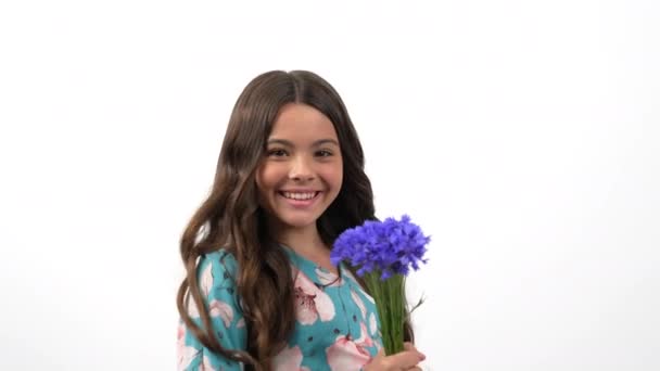 아주 쾌활 한 어린이 꽃무늬가 향취를 풍기며 들꽃 부케, 센타 우레아 — 비디오