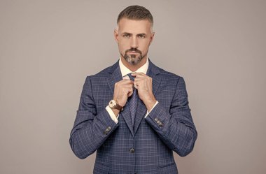 Takım elbiseli başarılı bir işadamı kravat takıyor, moda yapıyor.