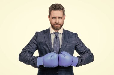 Seni bayıltacağım. Ciddi patron boks eldiveni giyer. Boks yarışması. İş rekabeti