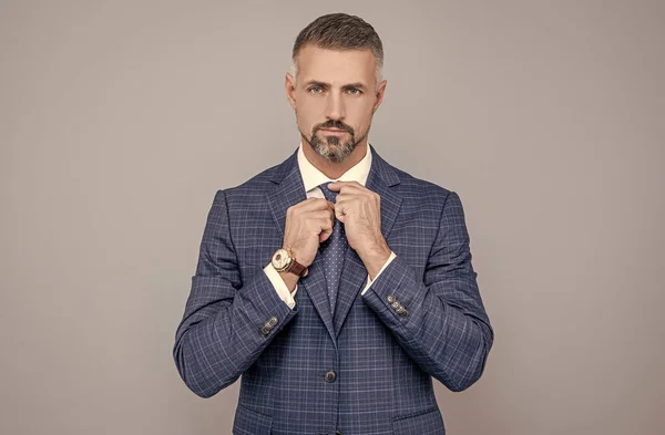Επιτυχημένος επιχειρηματίας σε επαγγελματικό κοστούμι καθορισμό γραβάτα, μόδα — Φωτογραφία Αρχείου