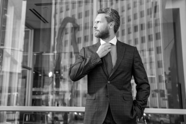 Resmi takım elbiseli başarılı sakallı iş adamı, çalışan.