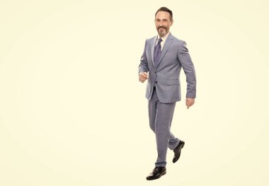 Boz sakallı mutlu CEO. Saçları ağarmış özgüvenli patron. kopyalama alanı. İş adamı