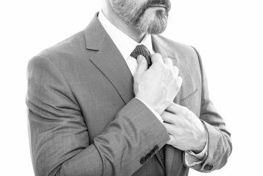 Her şey mükemmel olmalı. Kesilmiş patron kravatı düzeltir. Olgun iş adamı.