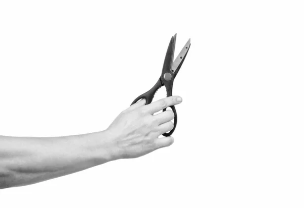 Tijeras herramienta de peluquería en mano aislado en blanco, papelería —  Fotos de Stock