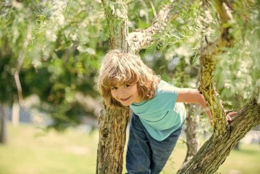 Ağaçlara tırmanmak her zaman eğlencelidir. Aktif çocuk ağaca tırmanır. Çocukluk eğlencesi. Yaz etkinlikleri