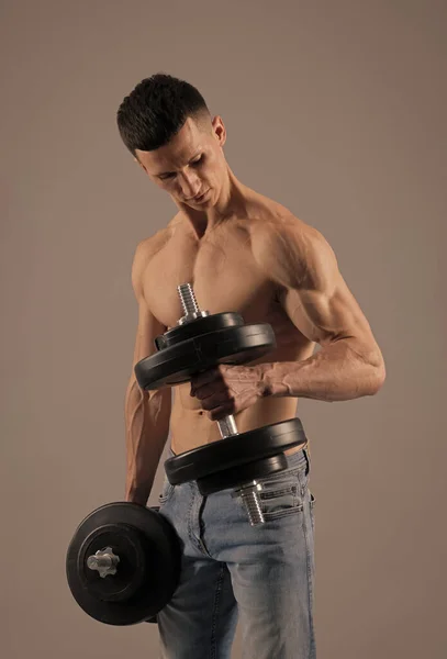 Fit shirtless man build biceps triceps muscle strength with hand weights, dumbbell workout — Stock Photo, Image